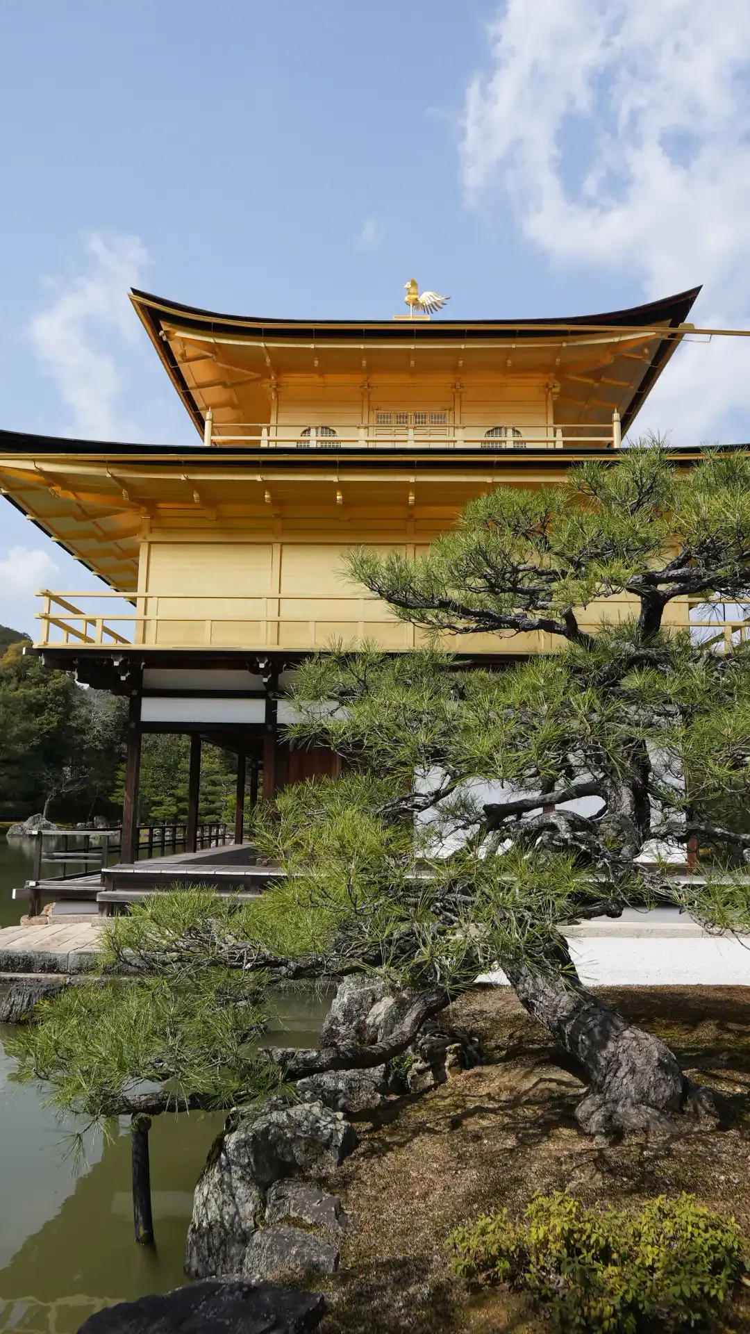 Conrad Osaka Hotel Review